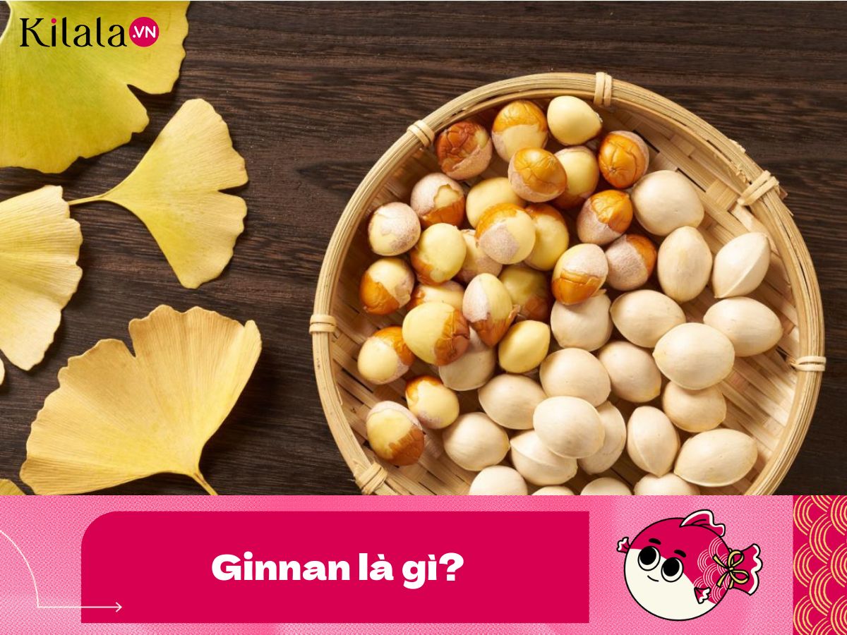 Ginnan là phần bên trong của hạt bạch quả ginnan-la-gi